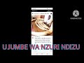 SALAWA UJUMBE WA NZURI NDIZU BY LWENGE STUDIO