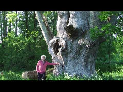 Morice Benin, Anathème, Concert contre les mutilations sexuelles, Théâtre Adyar, Paris, 15/03/2015