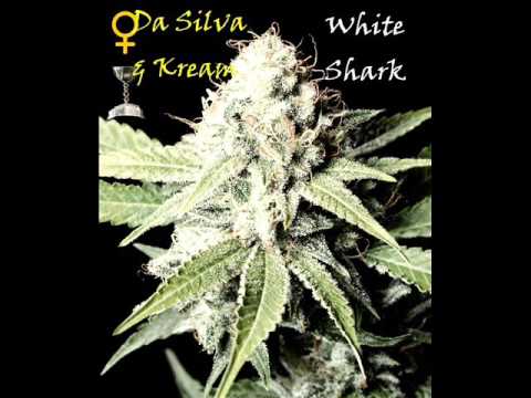 Kream & Da Silva - White Shark