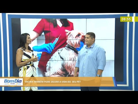 Veterinário fala da importância da vacinação para a saúde dos animais de estimação 21 07 2021