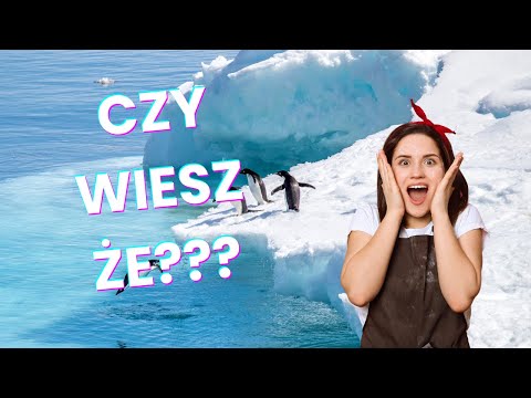 Czy wiesz że??