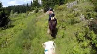 preview picture of video 'Horse Riding Pertouli - Trikala [GoPro]'