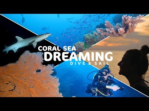 download lagu mp3 mp4 Coral Sea Dreaming, download mp3 Coral Sea Dreaming free download, download mp3 Coral Sea Dreaming