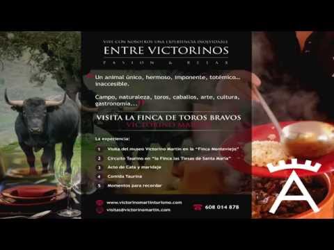 Victorino en el manejo de los añojos