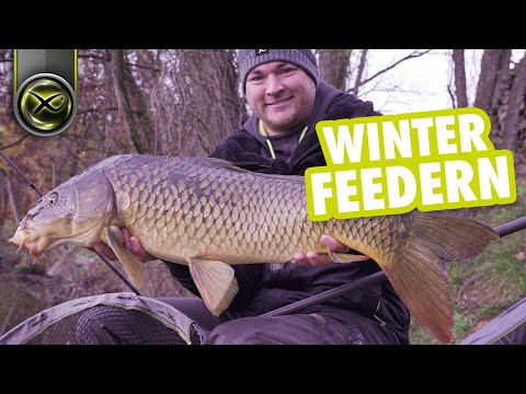 ERFOLGREICH feedern im WINTER - mit Method Feeder auf KARPFEN