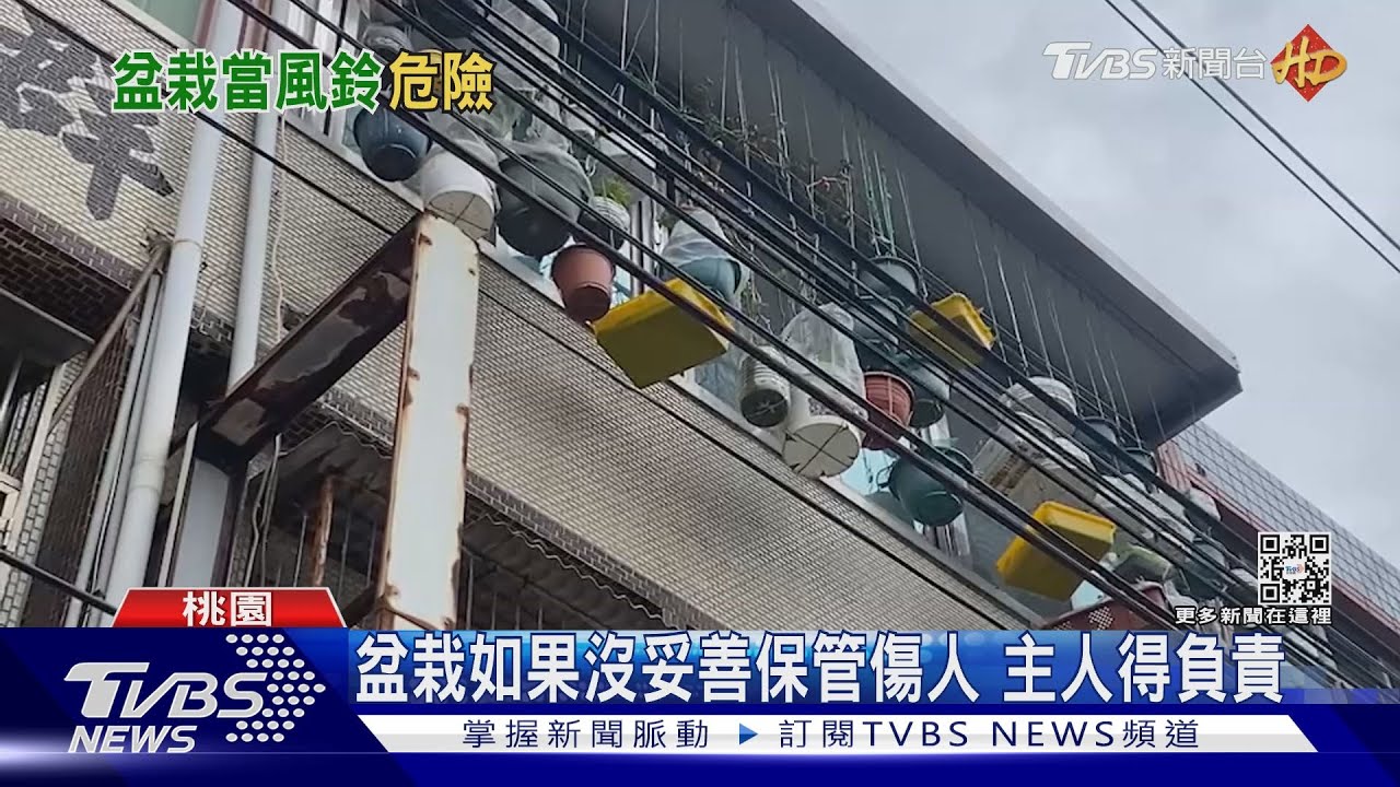 天女散花？！鐵絲勾盆栽垂掛　頂樓路人冒冷汗