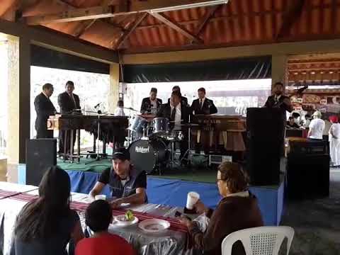 download lagu mp3 mp4 Murmullos De La Selva, download lagu Murmullos De La Selva gratis, unduh video klip Murmullos De La Selva