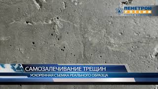 Пенетрон Адмикс — Самозалечивание трещин в бетоне — фото