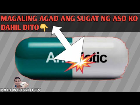 MABISANG GAMOT SA SUGAT NG ASO MURANG MURA LANG!HONEST VLOG PHILIPPINES PART1