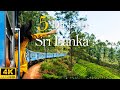 How To Spend 5 Days In SRI LANKA The Perfect Travel Itinerary