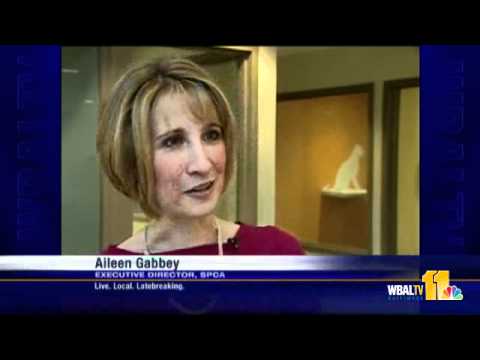 Md Spca Opens New Facility
