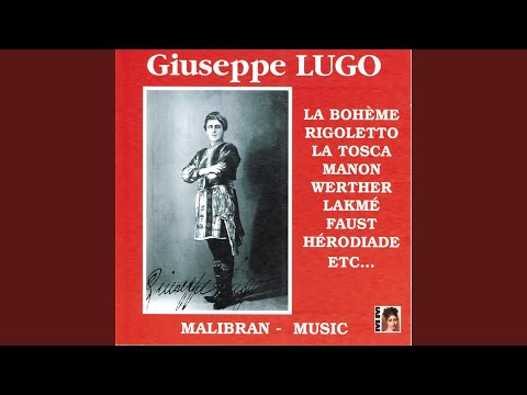 Rigoletto: Comme la plume au vent