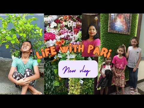 My new vlog || pari ko mila surprise gift 😲🥰 lifewithpari 1 M