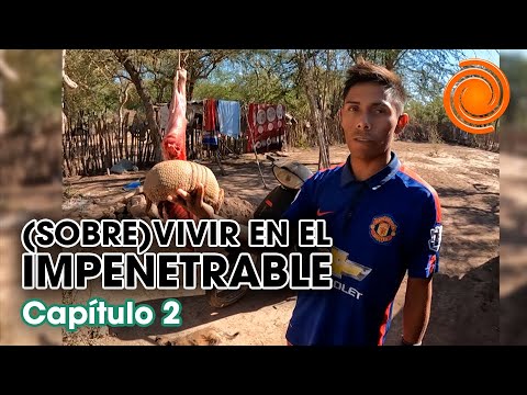 Cazar para comer: la vida de los wichis en El Impenetrable