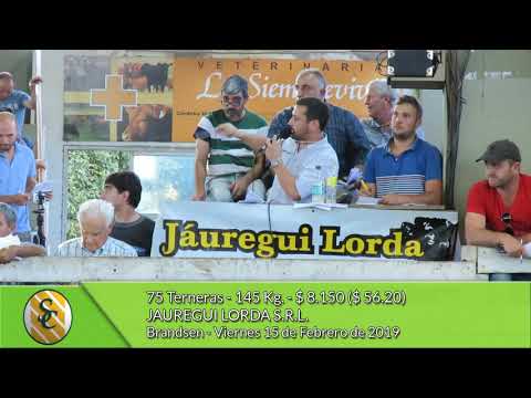 15-02-19 -Ventas de Hembras - Jauregui Lorda S.R.L. -  Brandsen