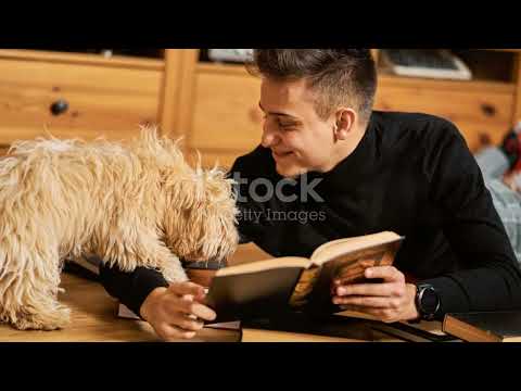 The Greedy Dog: A Lesson in Contentment