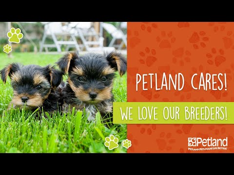 At Petland we love our breeders!