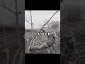 Zodiac Signs At War Part 1 Zodiac Signs Tiktok Shorts