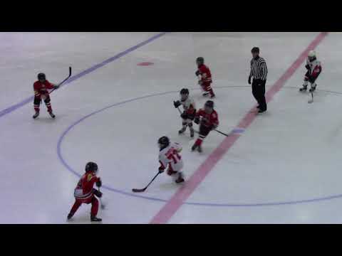 HC Vipers F WHITE – HC Panter F 2:0 (1:0 ; 1:0) 30.01.2018