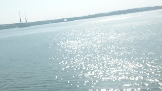 ships TV celebrity silhouette