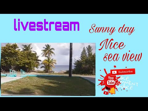 Livestream/sunny day/nice sea view/ #11