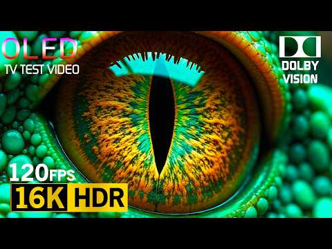 4K MAX RESOLUTION! Dolby Vision HDR COLORS (60 FPS) - Your Eyes Will Thank You