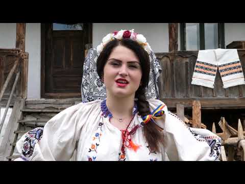 Gabriela Ples - Frunza verde iarba creata