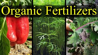 Organic Fertilizers - My Top 5 Choices For 2021!