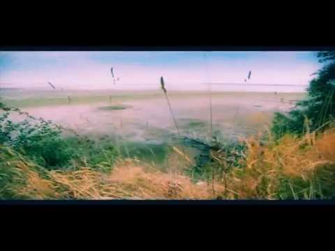 BRAND NEW DAY - KENNY SIMZ, BEATNICK BEATS (OFFICIAL MUSIC VIDEO)