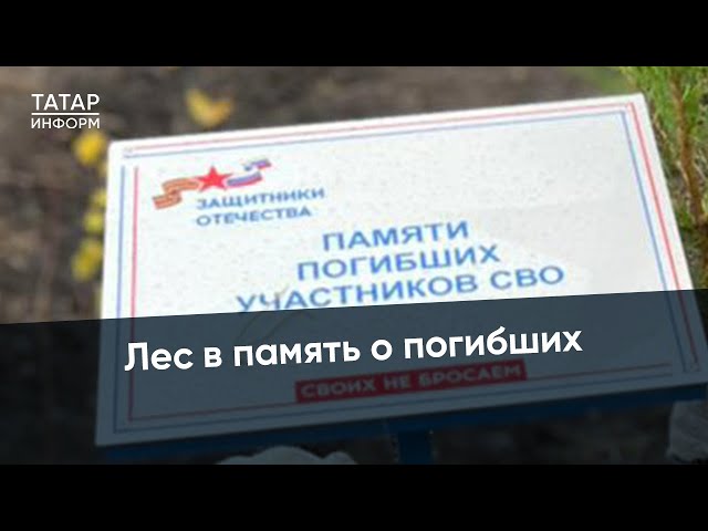 Память о героях СВО будет хранить пестречинский лес