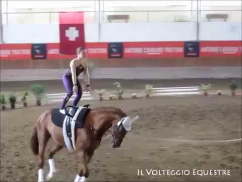 CVI Portogruaro 2016 - Volteggio - Ind 2* j F - 11° Laura Benz