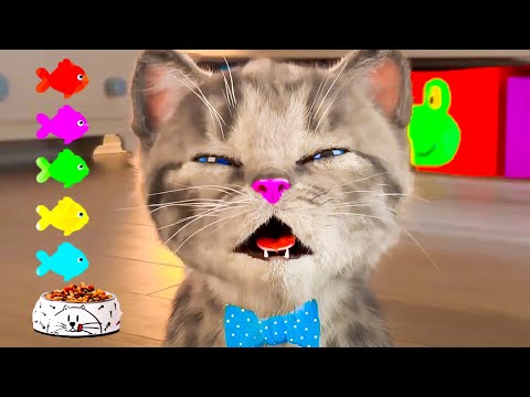 DRĂGUȚ MIC PISOI AVENTURA - PISICA DE DESENE ANIMATE ȘI ANIMALE EXPLORA LUMEA AVENTUROASĂ ÎMPREUNĂ