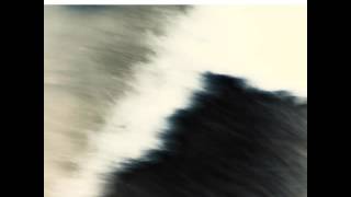 Avishai Cohen — Quiescence