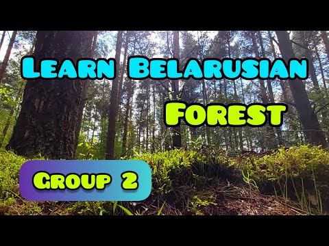 3-minute Easy Belarusian Practice || comprehensible input for beginners 