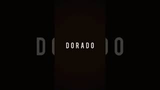 Download lagu El Dorado || #shorts #eldorado #kgf mp3 Download lagu El Dorado || #shorts #eldorado #kgf mp3