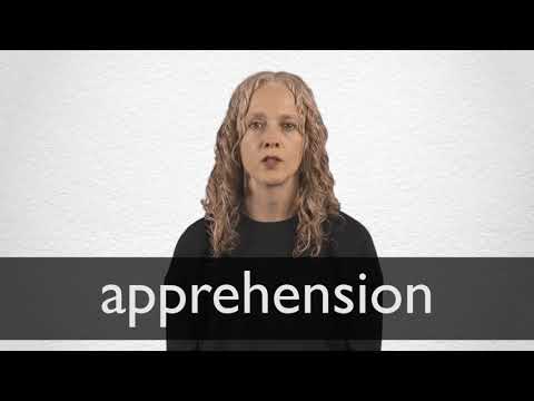 Spanish Translation of “APPREHENSION” | Collins English-Spanish ...