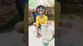 Download lagu Garena free fire sent a cat juice funny 🤪😜 to my house for brother //#youtube #shorts #video mp3