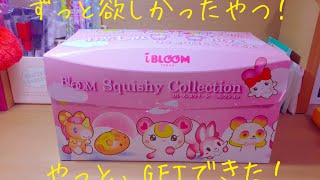 今、話題のあれを買いに行ったよ！