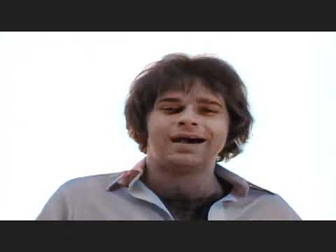 I'm Gonna Make You Mine   - Lou Christie