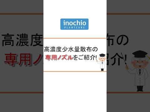 砂利の中の雑草？それらを削除し、再発を防ぐ方法は次のとおりです。  庭園
