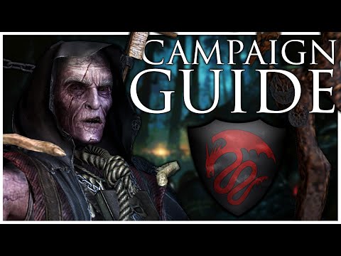 Vampire Counts Immortal Empires Campaign Guide | Total War Warhammer 3