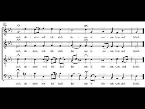 Bach: St. Matthew Passion - 17. Ich will hier bei dir stehen