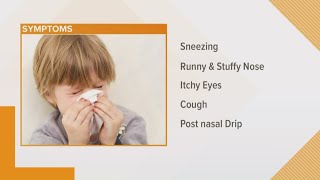 Nasal Allergies in Kids