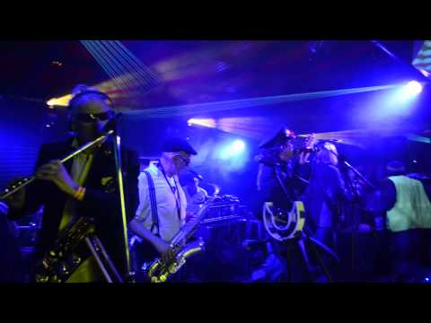 Kelburn Park Psychedelic Forest Disco 2013