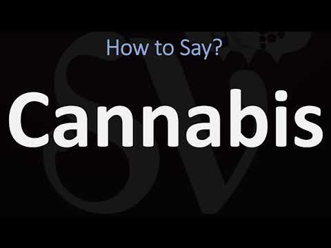 How to Pronounce Cannabis? (CORRECTLY)