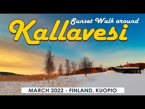 Kuopio Walk: Lake Kallavesi Sunset in Niuva District , March 2022, Finland [4K]