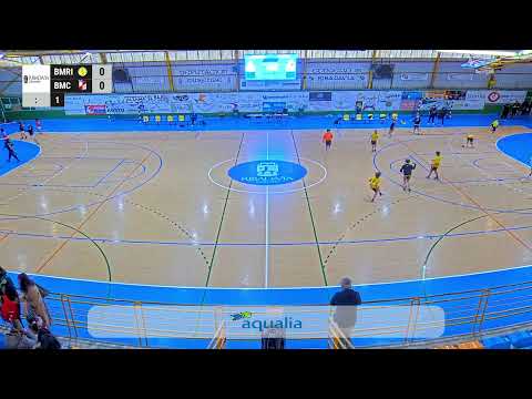 BALONMAN: BM. RIBEIRO REBUSCA 46 - BM. CAÑIZA CONSTRUCCIONES EL HOGAR