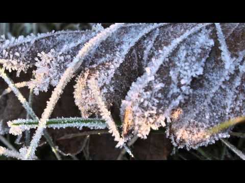 EvenS - Frozen feat. Kine Hjeldnes