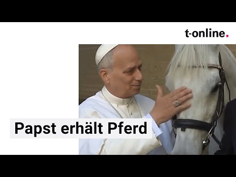 Pope receives unusual gift
