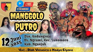 Download lagu Live Jaranan Hari ini MANGGOLO PUTRO Ft VPR audio di Ngarami Sukomoro Nganjuk. mp3